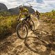 riders during Stage 4 of the 2025 Absa Cape Epic Mountain Bike stage race held at Fairview, Paarl, Cape Town, South Africa on the 20th March 2025. Photo by Sam Clark/Cape Epic
PLEASE ENSURE THE APPROPRIATE CREDIT IS GIVEN TO THE PHOTOGRAPHER AND ABSA