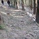 IMG 0968Large 1272301251
