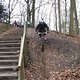 IMG 0510
