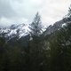 Sommerschnee