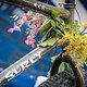 Biken mit Blumen bei Surly