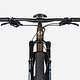 Die Geometrie fällt für ein XC-Hardtail recht gewöhnlich aus.