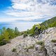 31 Finale - DH Men