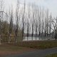 Offenbach