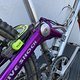 IMG 0205