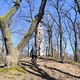 Kammtrails mit Bernd