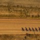 Je früher der Morgen desto länger die Schatten - Gary Perkin-Cape Epic-SPORTZPICS