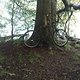DSC00194