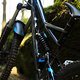 Biking is awesome