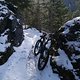 Winter ohne Fatbike??? Geht auch gut...