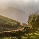 Riders during stage 7 of the 2023 Absa Cape Epic Mountain Bike stage race from Lourensford Wine Estate in Somerset West to Val de Vie, Paarl, South Africa on the 26 th March 2023. Photo Sam Clark