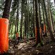 Der untere Wald in Leogang wäre eigentlich sehr schön, wenn er nicht sehr steil und sehr matschig wäre.