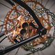 SingleBe - NoisyBee - Custom 29er