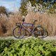 L1000022 (MTB-News)