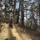 IMG 6784