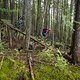 BC Squamish - Cortes Planks
