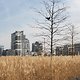 Au boulot à vélo - Offenbach - Rödelheim und retour