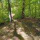 Gratis Wurzeltrail