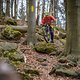 20250406-09 Sächsische Schweiz