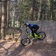 Bike Beerfelden P 162
