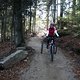 IMG 3338