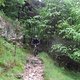 IMG 1480