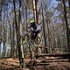 Bike Beerfelden P 274