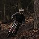 IMG 7751