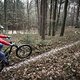 Wer Flow suchet, der findet. Ein kleines Stück Trail in Oberfranken.