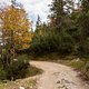 IMG 0650