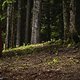 les-gets-track-walk-95567