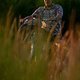 Sunset34 (MTB-News)