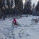IMG 20250301 154534