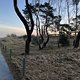 28.01.2025 Usedom Ahlbeck - Swinemünde zu den Nachbarn