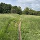 IMG 1620