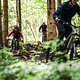 Im unteren Teil läuft der wurzelige Trail flach aus