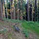 IMG 0702