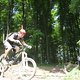 IMG 6242