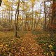 Herbst2K10Bild039