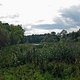 IMG 1231
