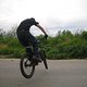 IMG 3556