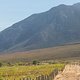 Weinberge, Berge und Mountainbiker - klassisch Cape Epic