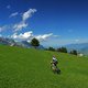 Sommerweidtrail pano