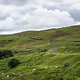 Brecon Beacons - sheep grazing road