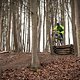 MTB-Park Hürtgenwald