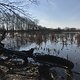 überschwemmte Havelwiesen zwischen Hennigsdorf und Stolpe