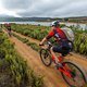 Riders head past Theewaterskloof dam during stage 5 of the 2022 Absa Cape Epic Mountain Bike stage race from Elandskloof in Greyton to Stellenbosch, South Africa on the 25th March 2022 © Dom Barnardt / Cape Epic