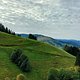 Nach solchen Ausblicken muss man im Münstertal nicht lange suchen.