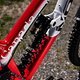 MTBNews