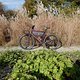 L1000005 (MTB-News)